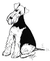 adt3.gif (1908 bytes)